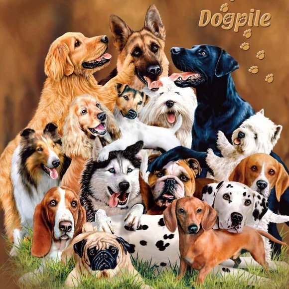 New Dog Pile Decorative Signs Blanket 79x95